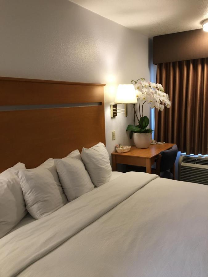 Oceanview Motel Huntington Beach Eksteriør billede